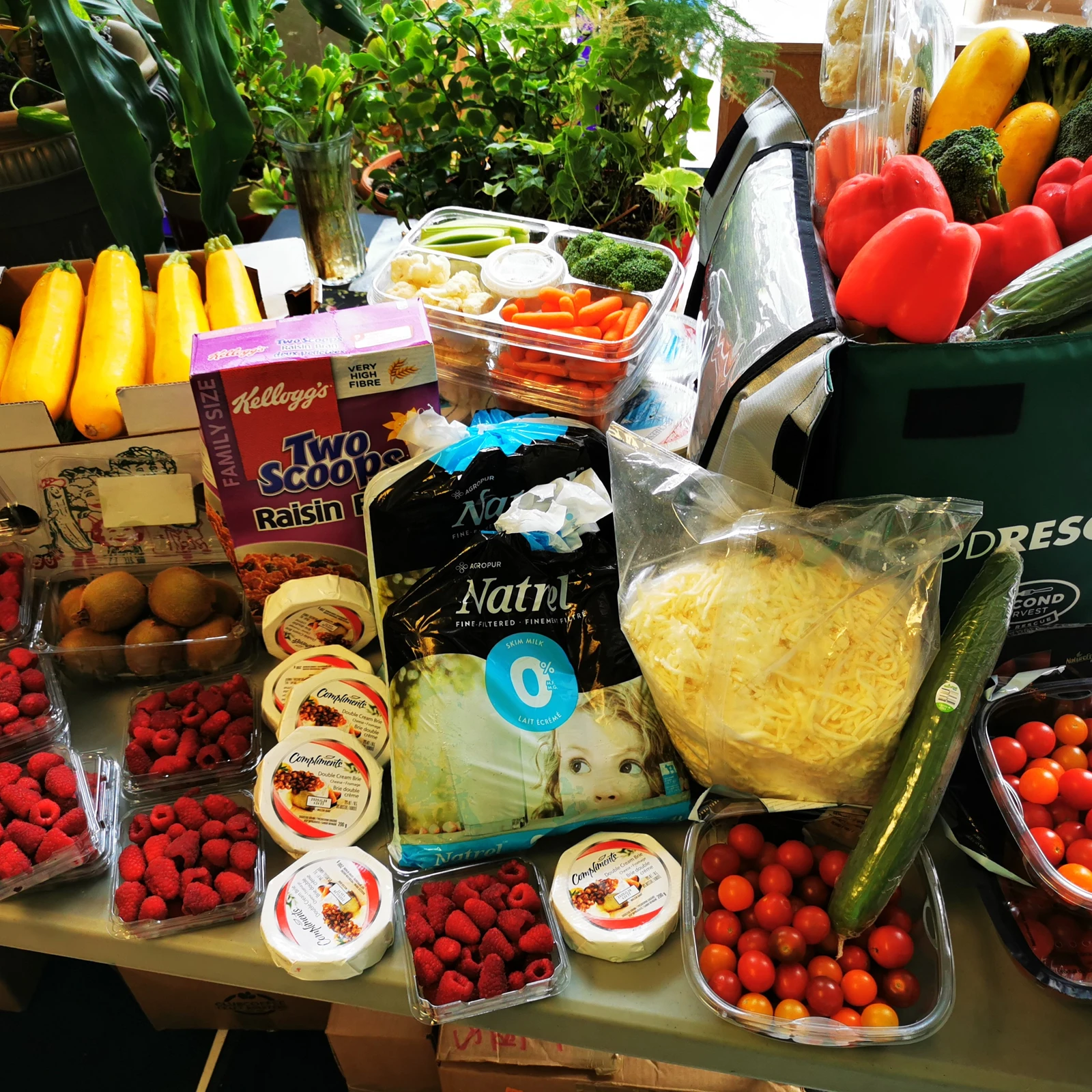 Rescued food mix.jpg